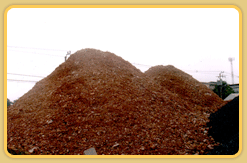 ลูกรัง-สระบุรี